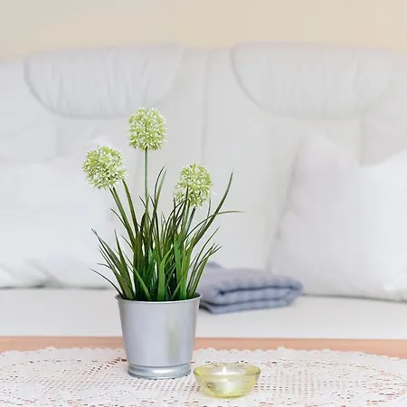 Oberdeck Apartment *